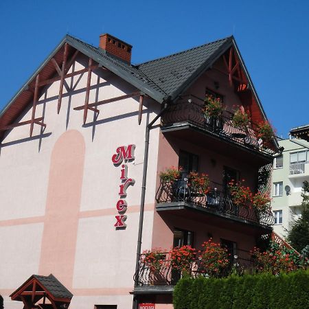 Hotel Mirex à Krynica-Zdrój Extérieur photo